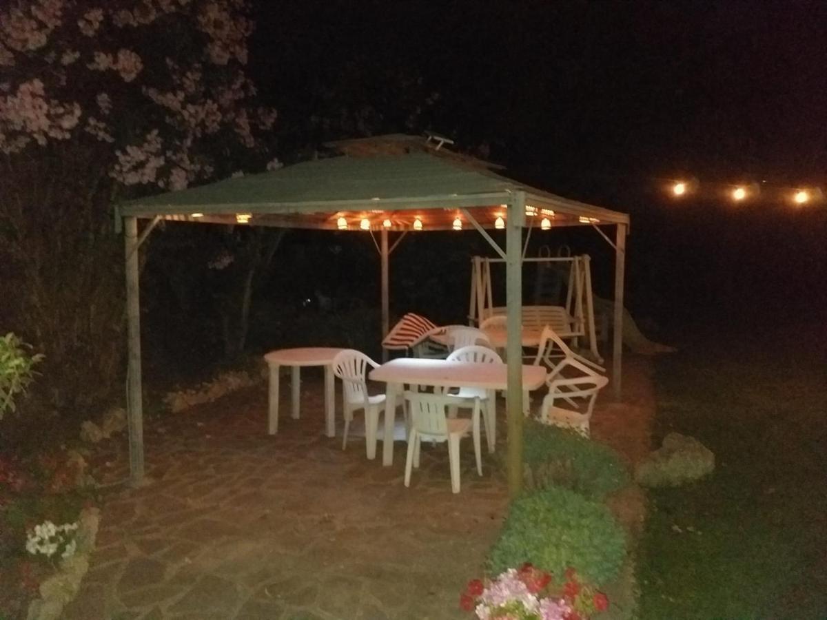 דירות Garden Basement - Seminterrato Max 4 Ospiti - Fiumicino Vicino Aeroporto E Fiera מראה חיצוני תמונה
