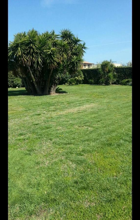 דירות Garden Basement - Seminterrato Max 4 Ospiti - Fiumicino Vicino Aeroporto E Fiera מראה חיצוני תמונה